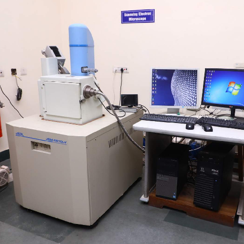 Scanning Electron Microscope (SEM) without EDS